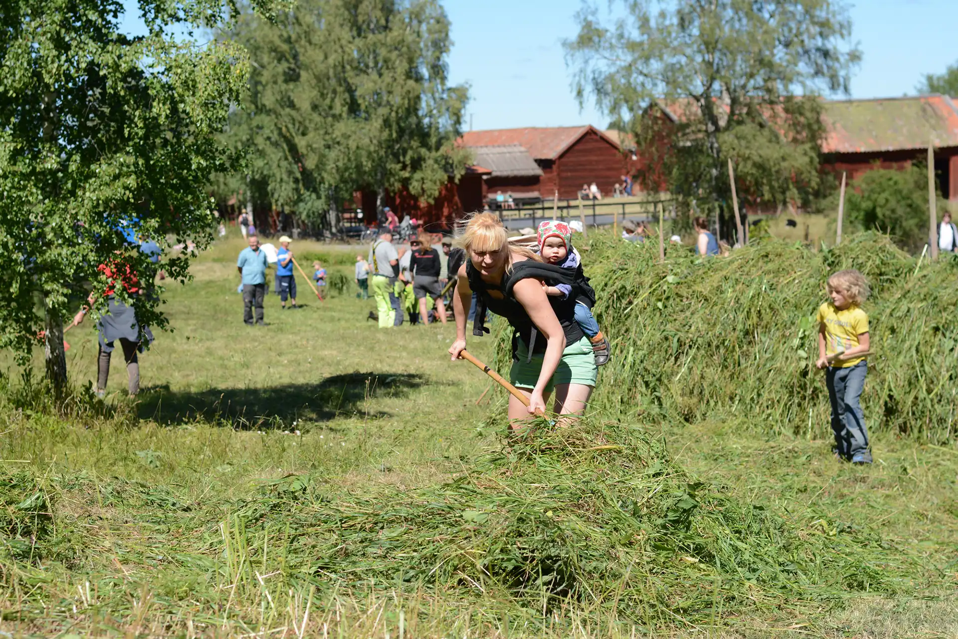 Slåtter På Disagården